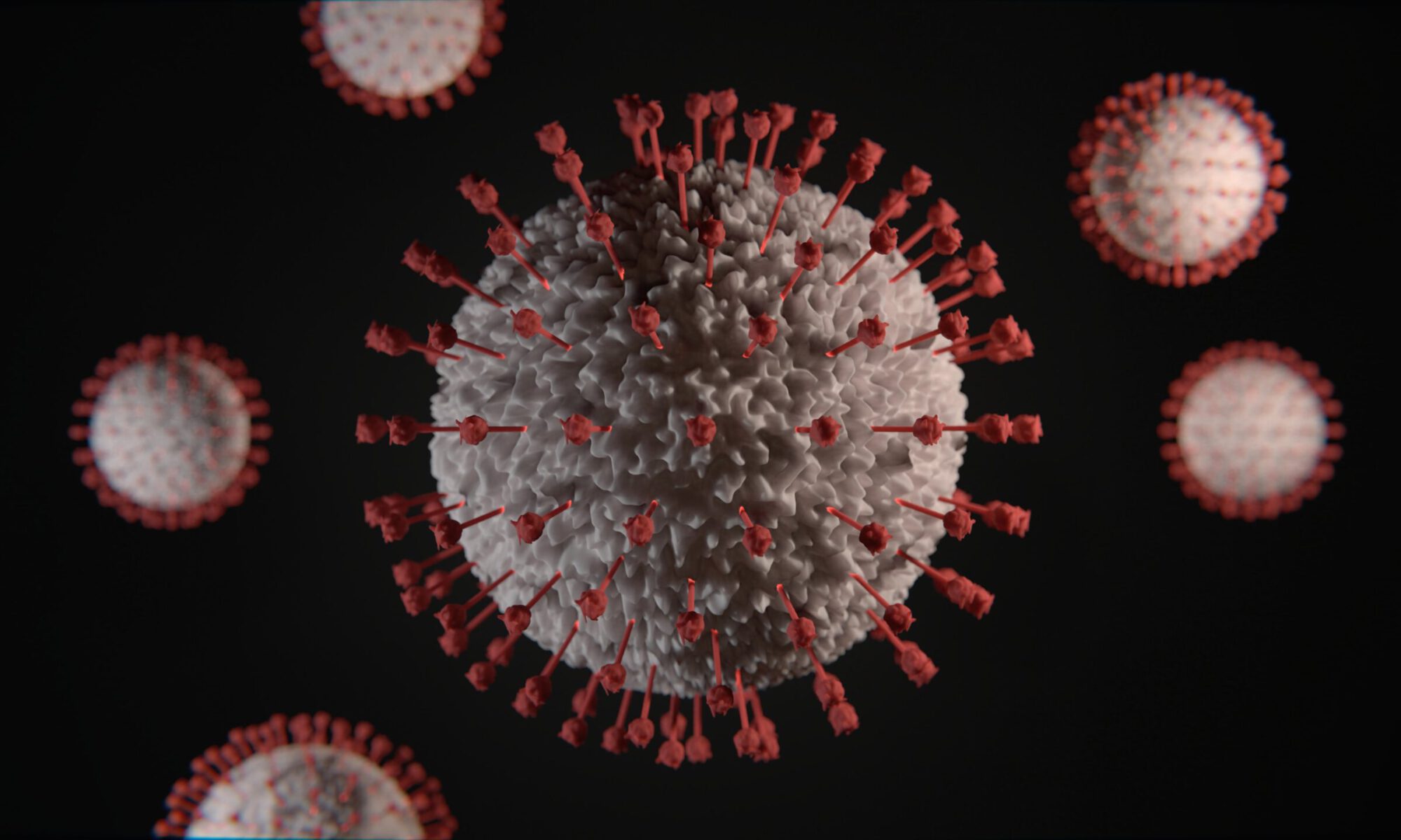 virus